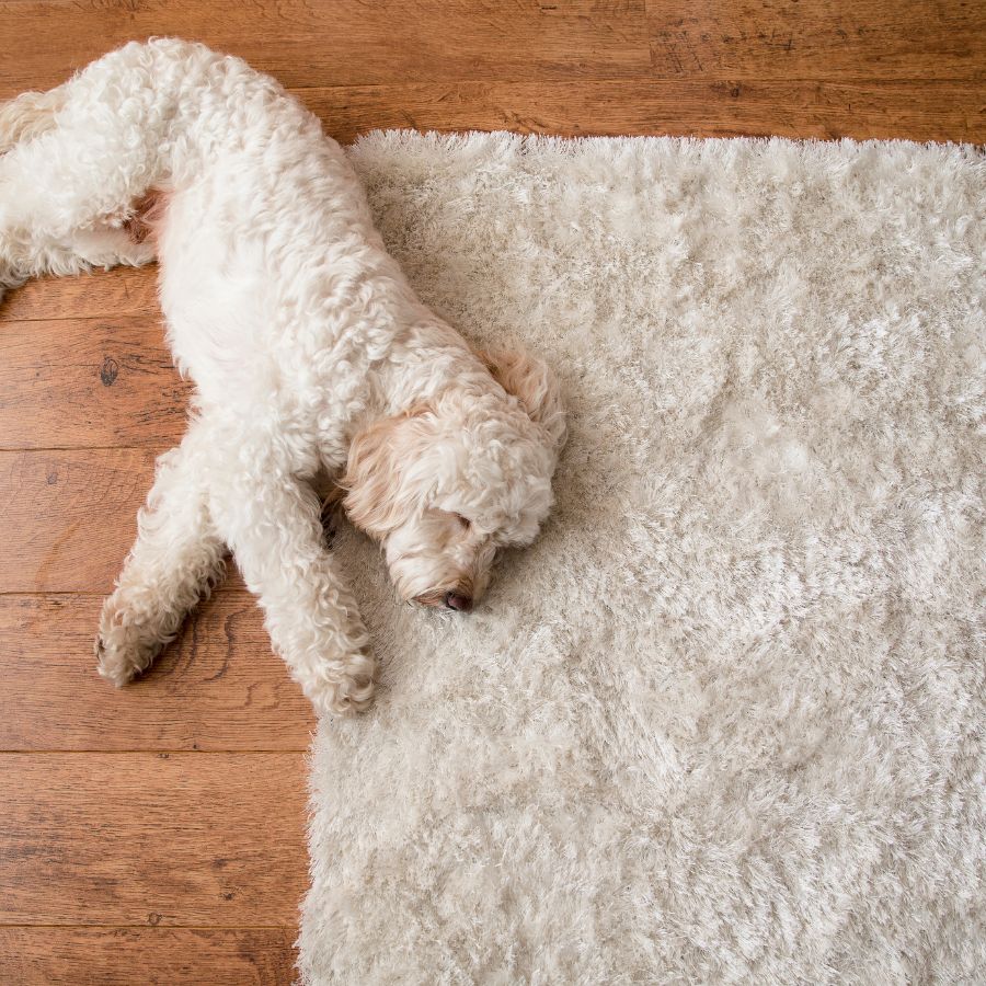 rugs for rv